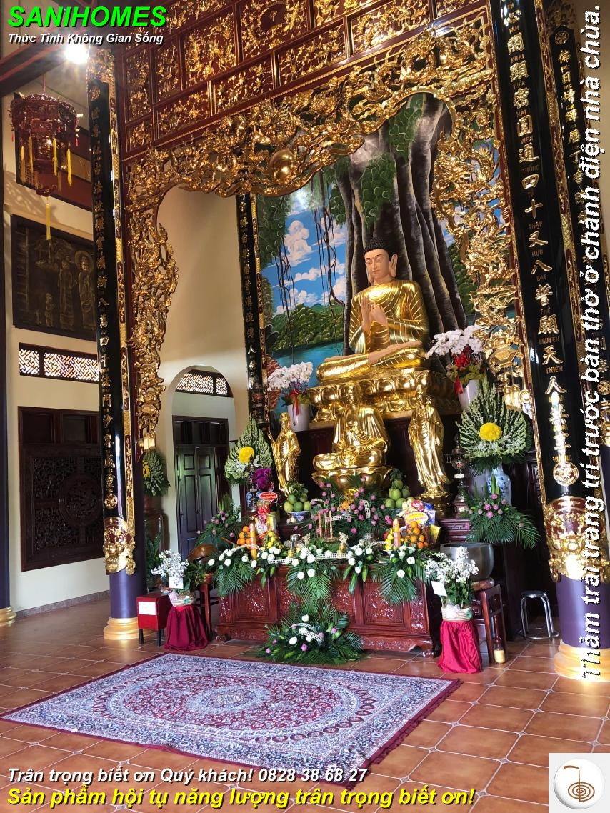 mau tham trai chanh dien nha chua chuyen nghiep 3
