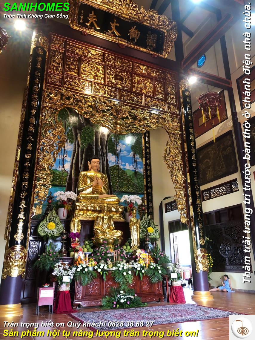 mau tham trai chanh dien nha chua chuyen nghiep 2