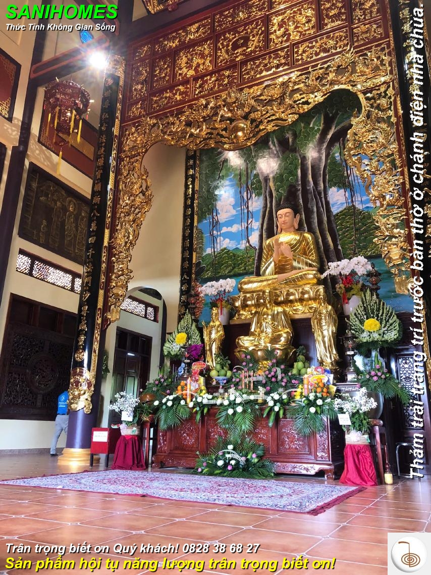 mau tham trai chanh dien nha chua chuyen nghiep 7