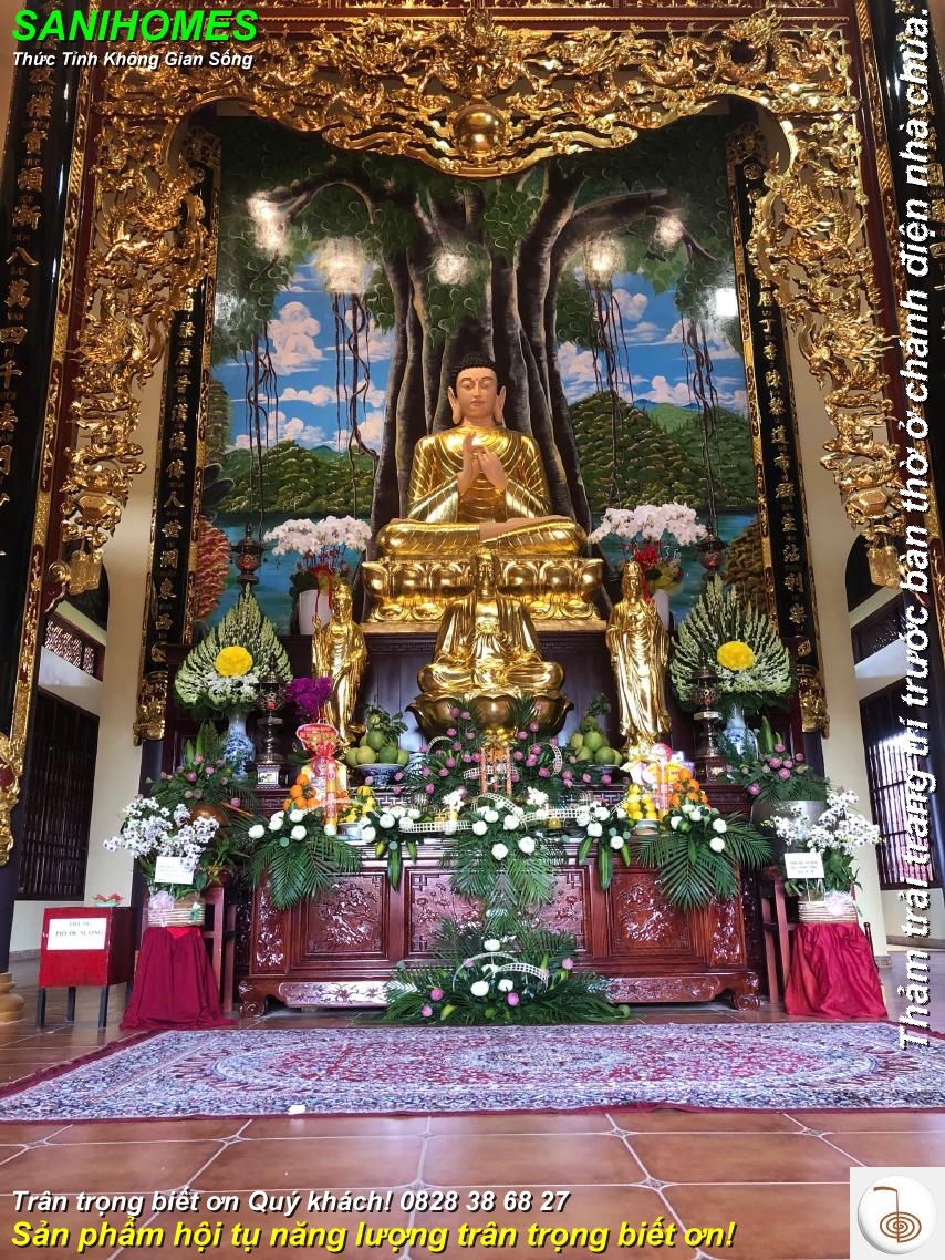 mau tham trai chanh dien nha chua chuyen nghiep 8