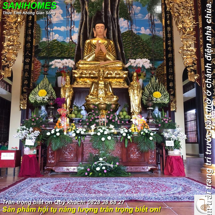 mau tham trai chanh dien nha chua chuyen nghiep 9